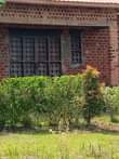 A picture of 70m Good house is available for sale 70m located at
