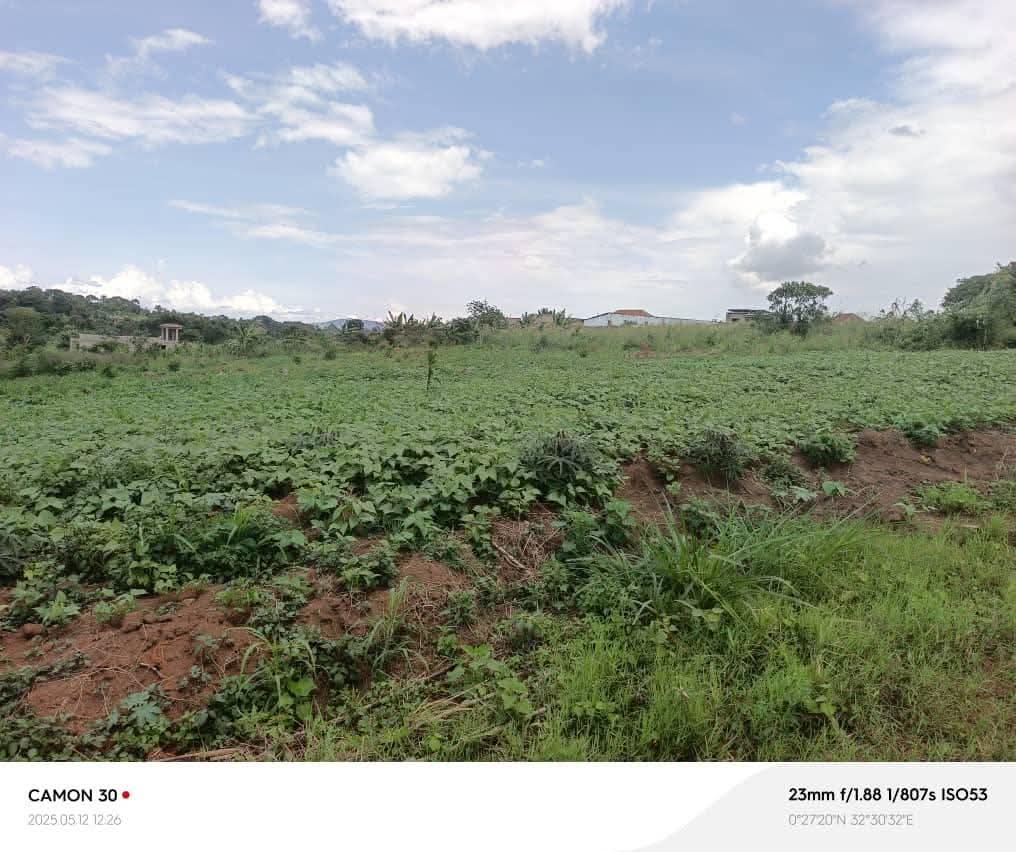 A picture of Plot of Land