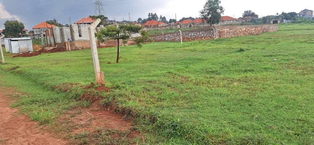 A picture of 100by50 ft plot for sale in gayaza