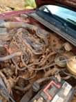 A picture of Golf 3