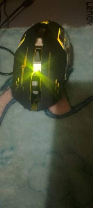 A picture of Mouse