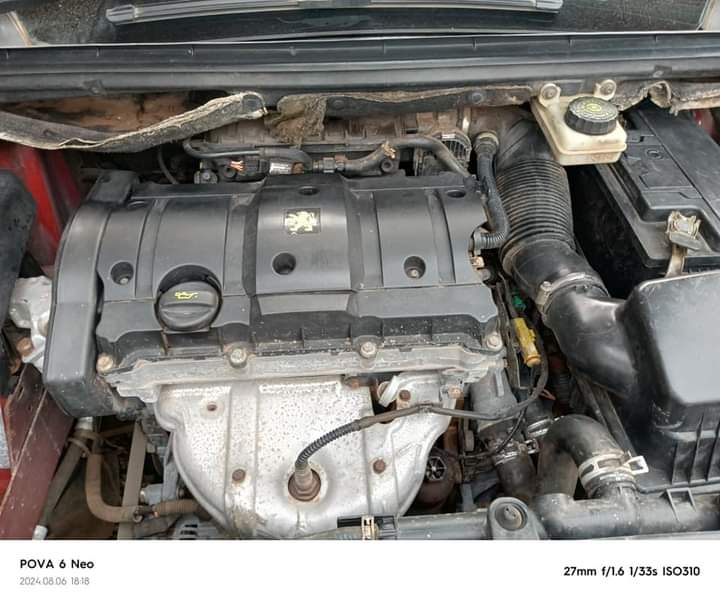 A picture of 307 wagon