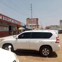 A picture of Prado model 2016