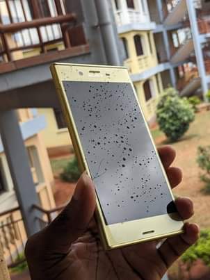 A picture of Sony Xzs