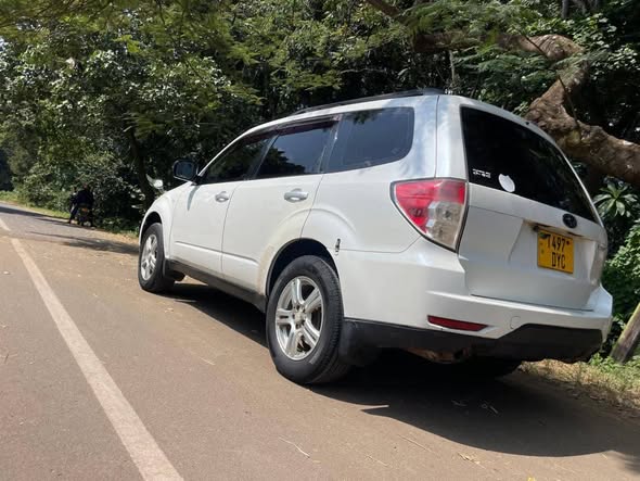 A picture of NISSAN DUALIS