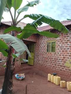 Ssentumbwe B.