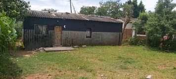 kabanana