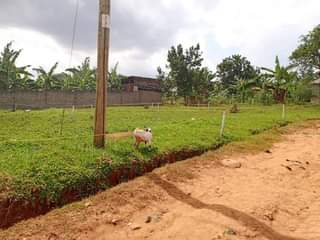 A picture of Cheap Plots for sale Cheap Plots up for sale Good