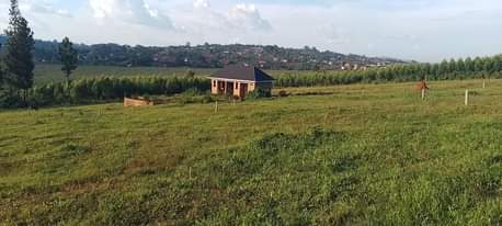 A picture of NEW NAMUSERA NSENKWA ESTATE UGX40m 50x100 Ready MAILO LAND TITLES
