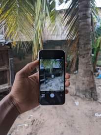 A picture of IPhone SE