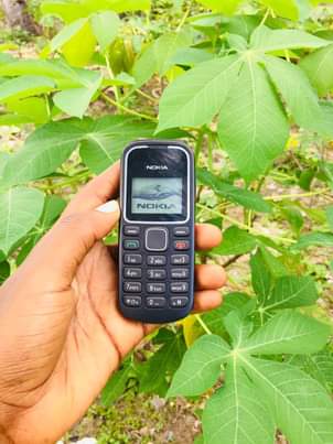 A picture of Nokia 1280