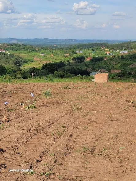 A picture of 50by100ft PLOTS FOR SALE AT 11 M UGX ONLY