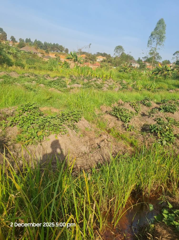 A picture of Plot land