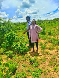 mwembeshi