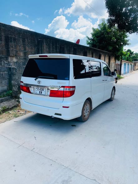 A picture of Alphard 10 m