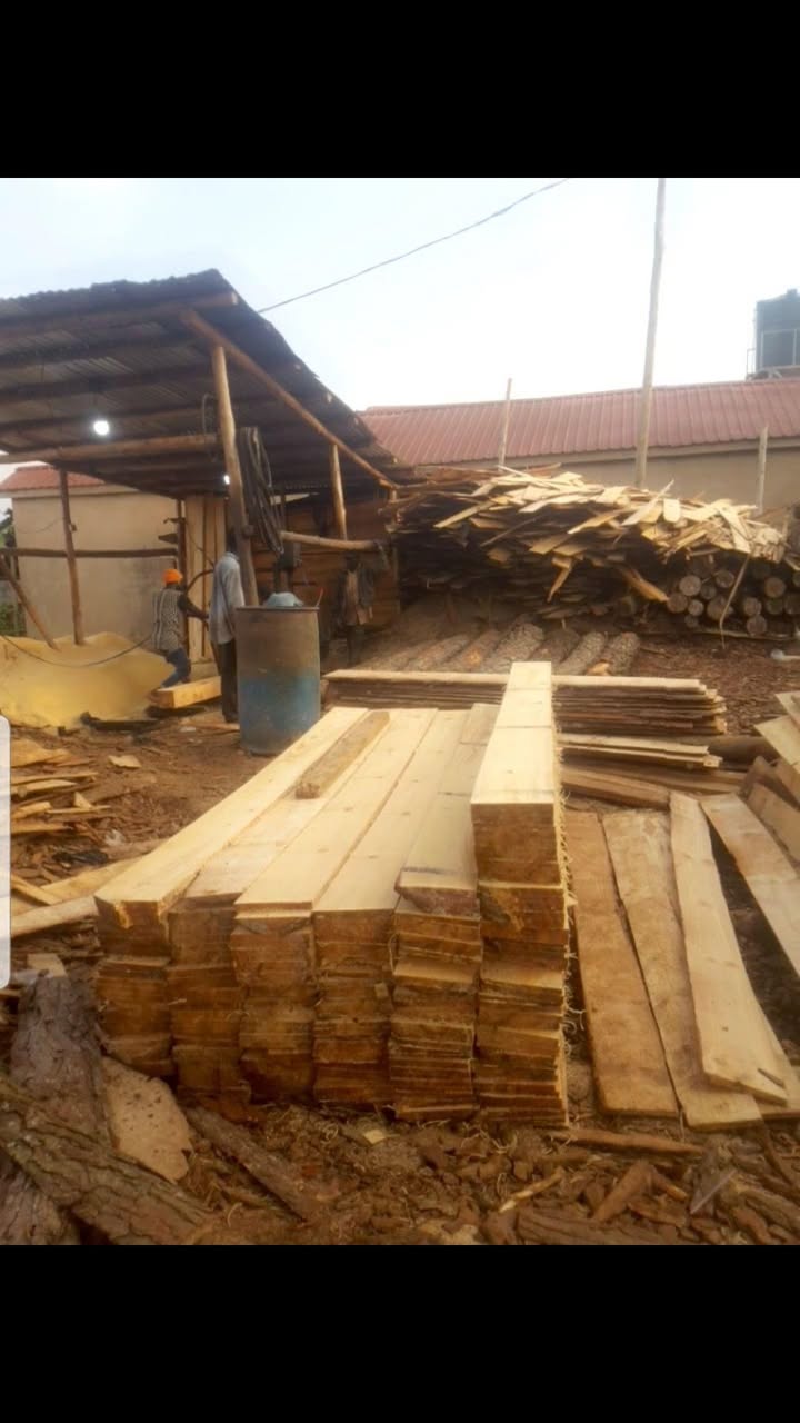 A picture of timbers