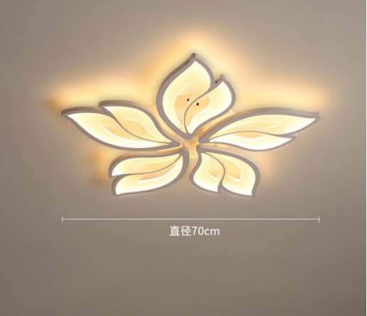 A picture of Ceiling lamp