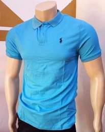 A picture of Polo t.shirts
