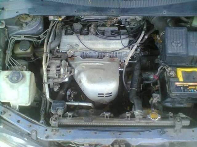 A picture of Toyota picnic