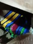 A picture of CAMPING TENTS AVAILABLE
