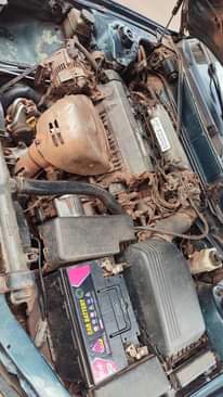 A picture of Camry orobo