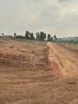 A picture of Matuga Kilyagonja Estate