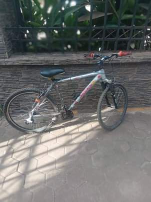 A picture of Bike kali