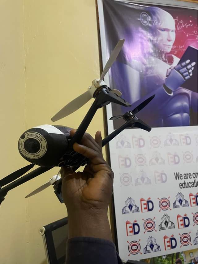 A picture of Parot bep 2