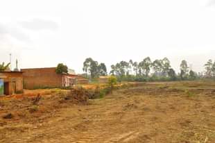 A picture of Nansana Tow
