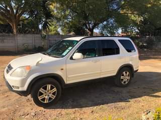 used honda crv