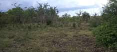 A picture of SHAMBA HEKA 6 BADO LIPO TSH 1 350 000 LIPO