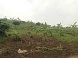 A picture of Matugga kilolo Namayamba village LC 1 on matugga semuto rd