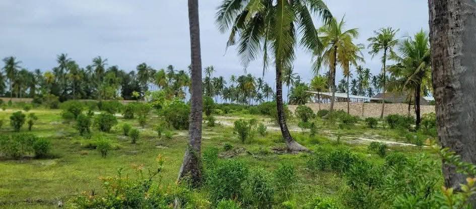 A picture of Beautiful Land Near the Beach Available for Sale in Bwejuu