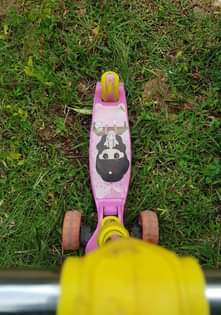 A picture of Scooter