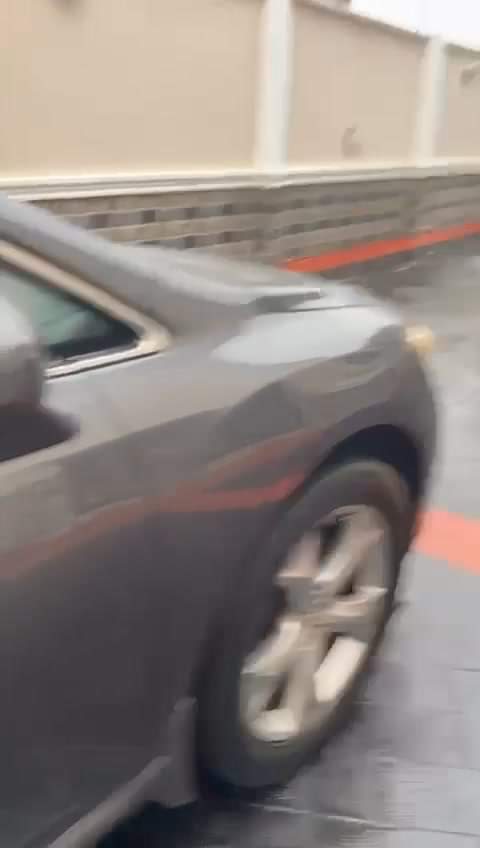 A picture of wow This is sparkling clean Toyota venza 2010 model registered