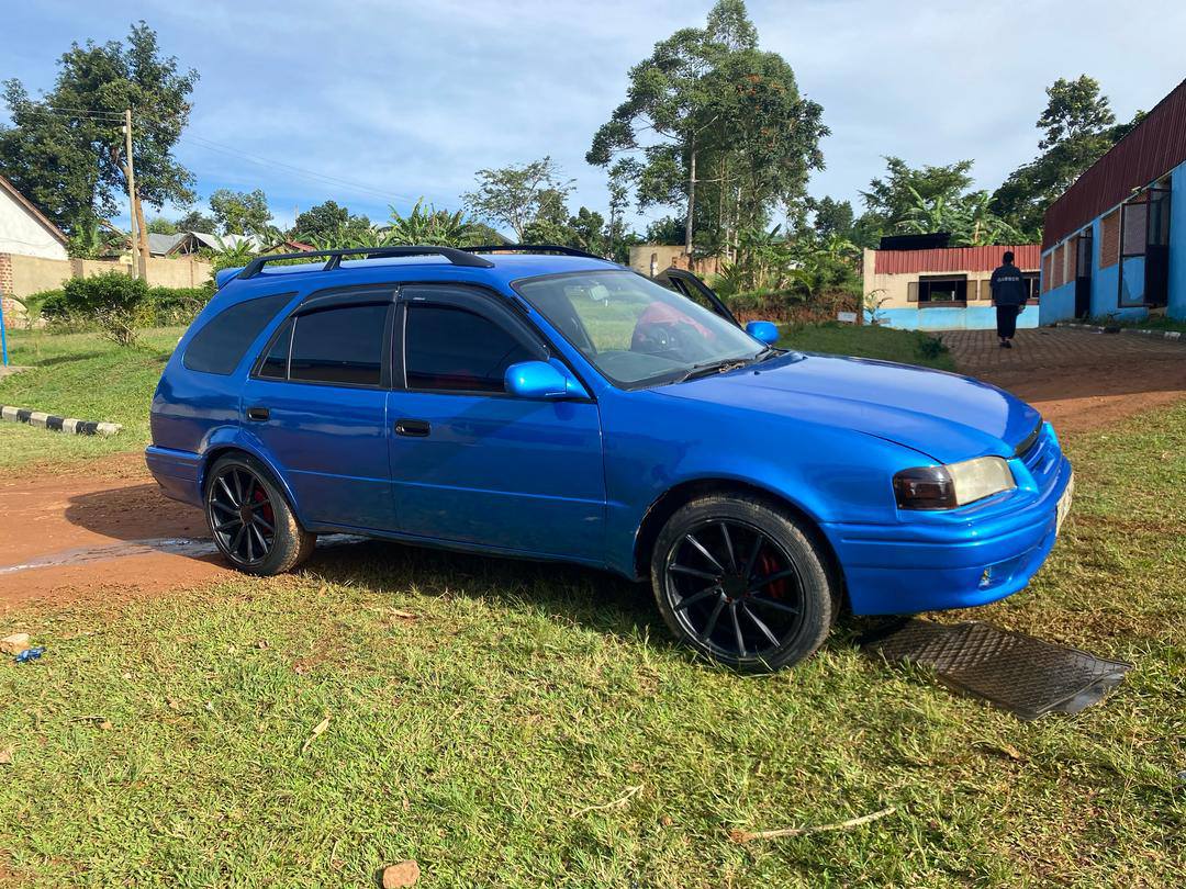 A picture of Selling carib