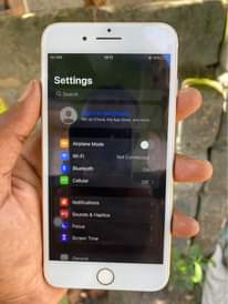 A picture of iPhone 7 Plus