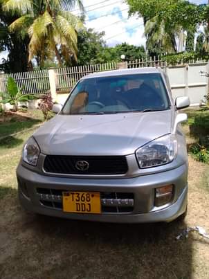 A picture of Rav4