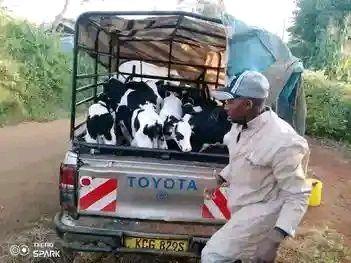 agricultural