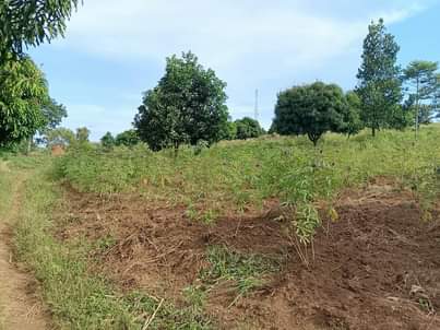 A picture of  1Arce for sale located at Nsanja Mukono katosi road