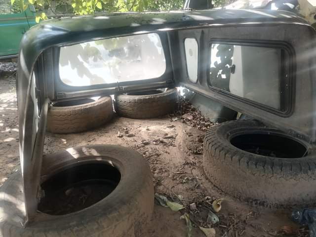 Nomkhosi S.