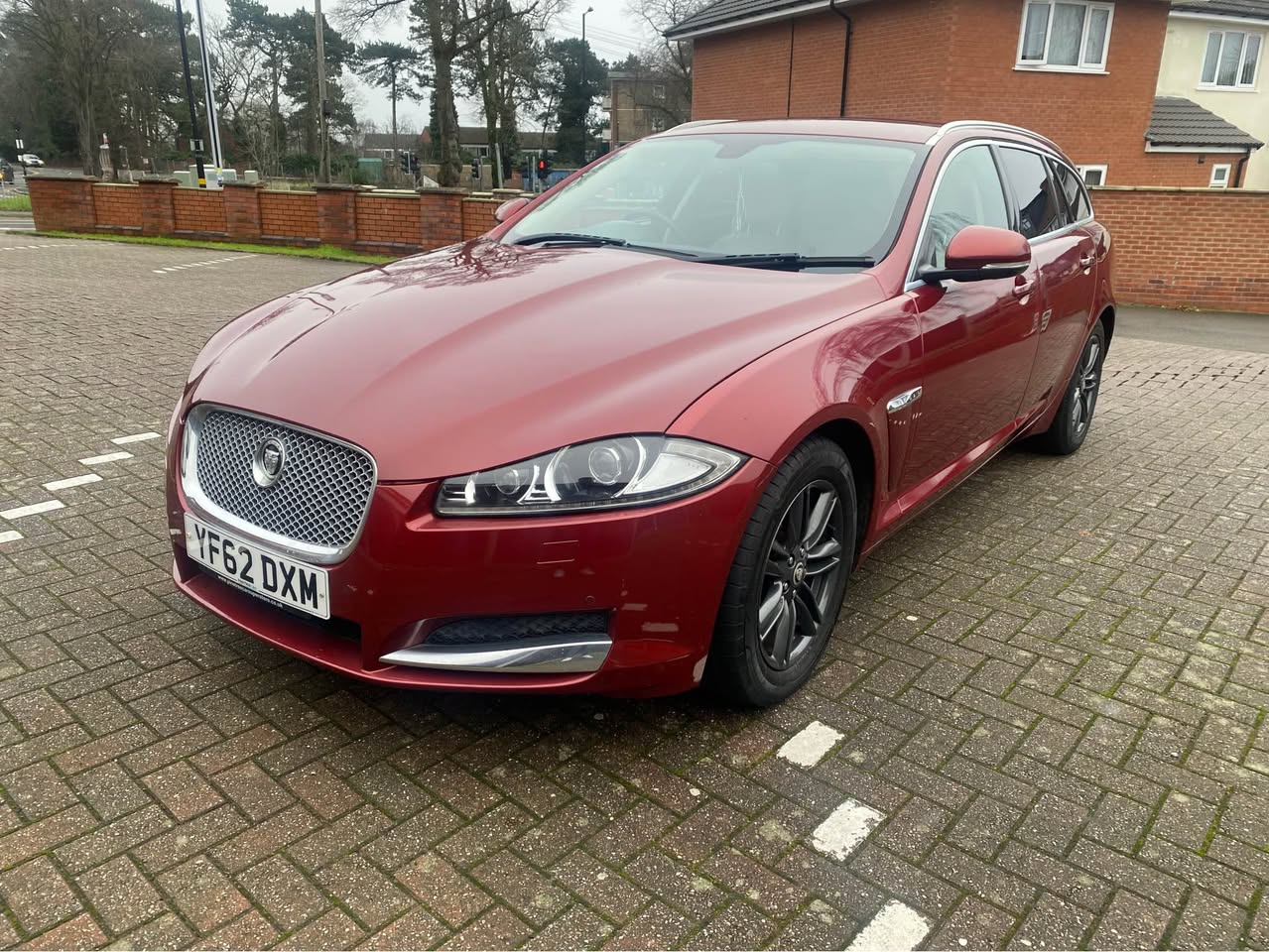 jaguar