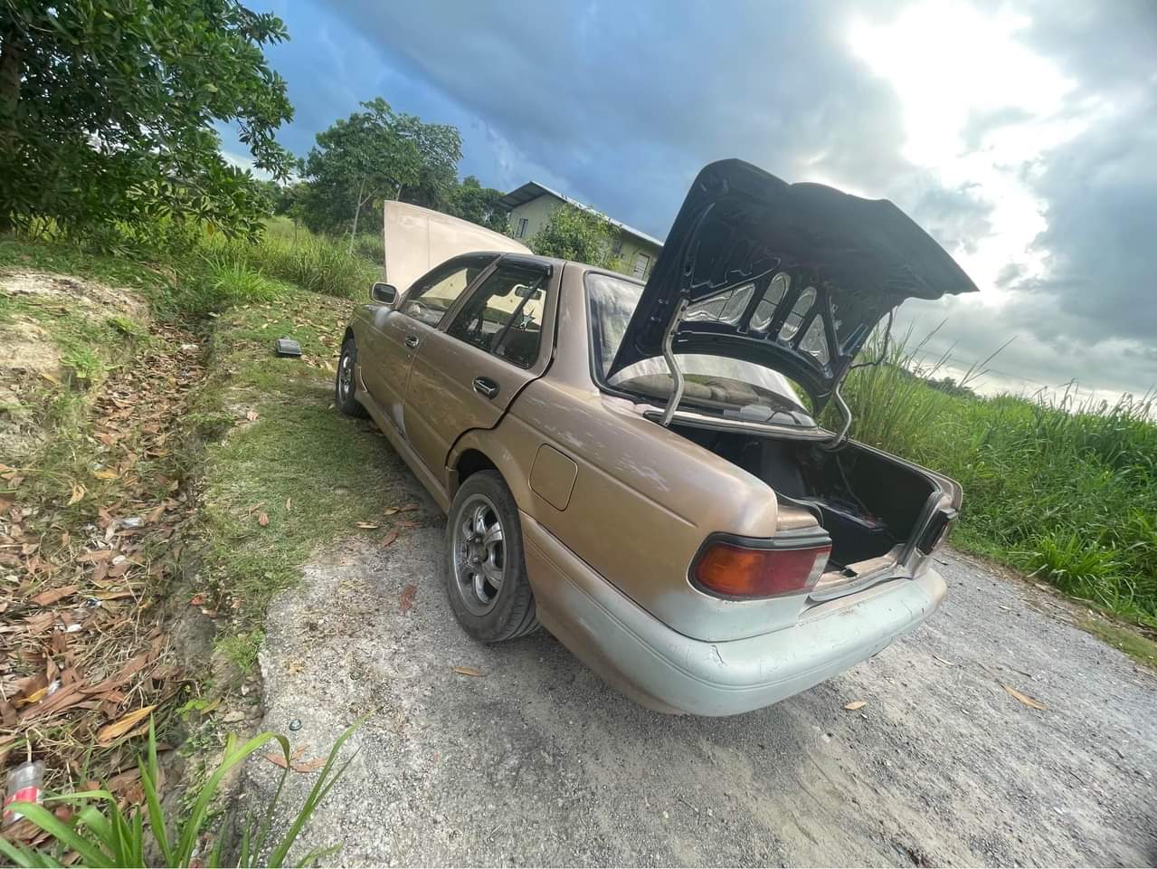 cars