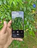 A picture of Google pixel 3