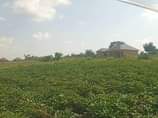 A picture of A WELL PLANNED ESTATE 256708590699 New estate located in Gombe