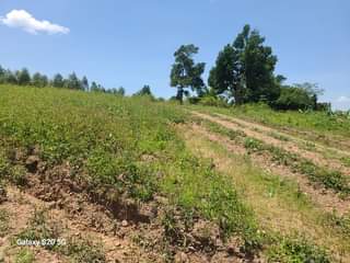 A picture of PLOTS AT AFFORDABLE PRICES