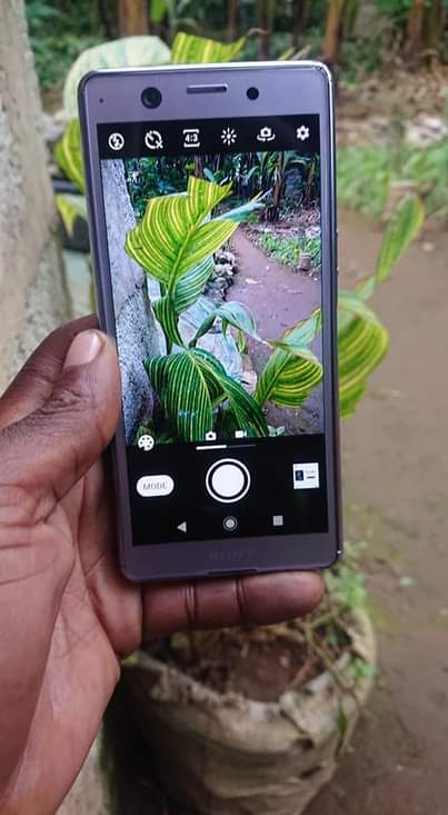 A picture of Sony xperia ace 0687567155