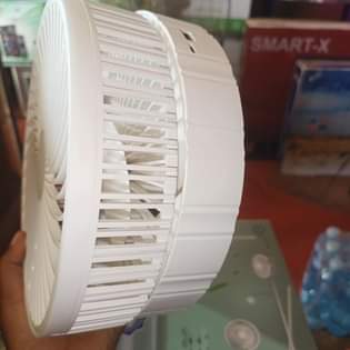 A picture of Fan