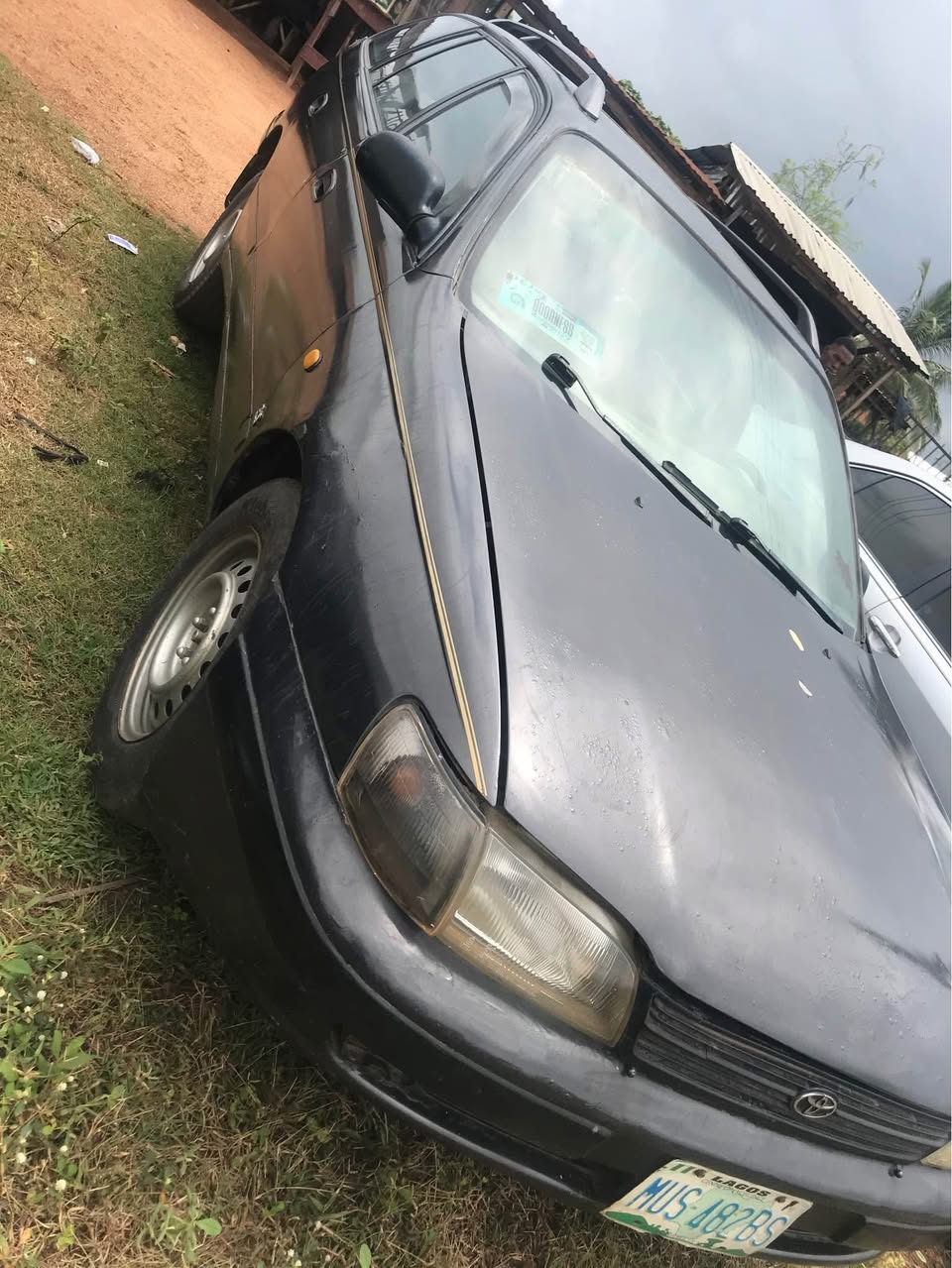 A picture of Carina E Wagon 08029557355