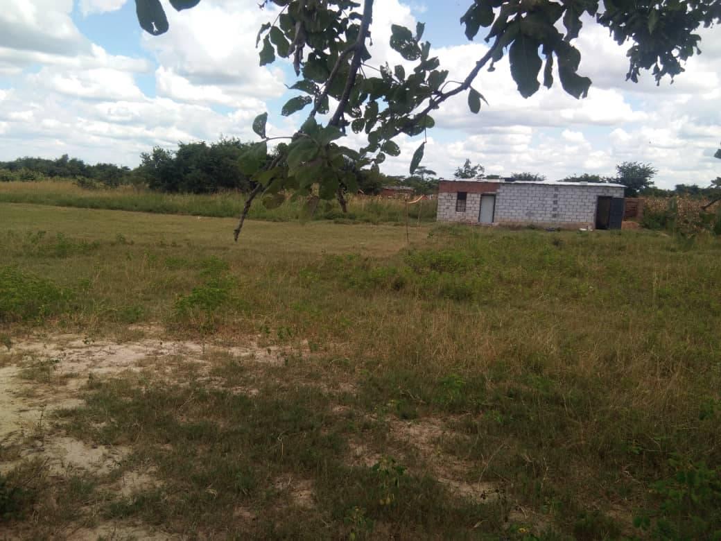 zambia plots